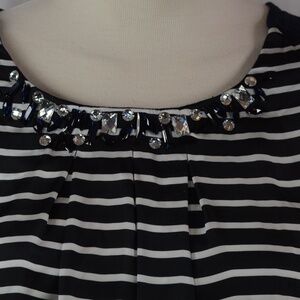 Olsen Europe Striped stone Shell SZ 12